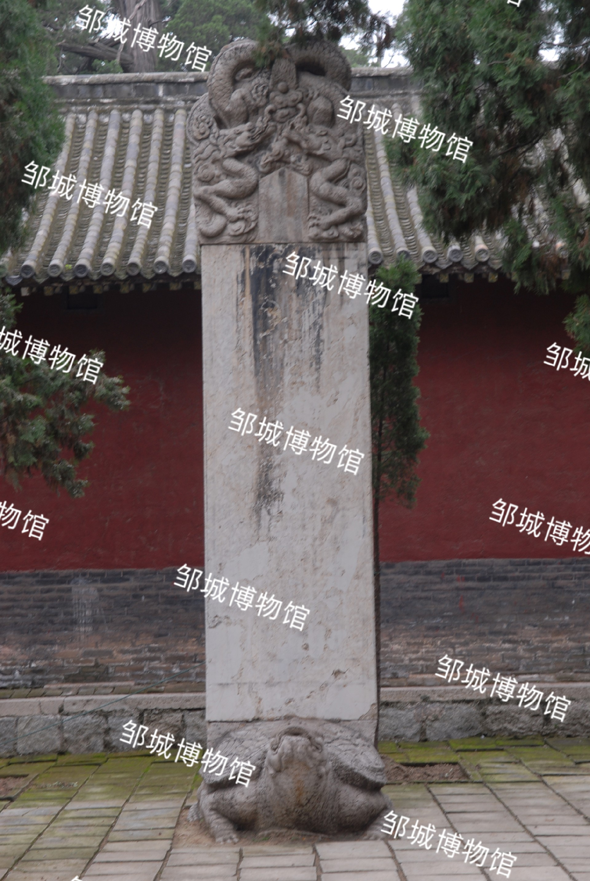 00431-A-01.jpg