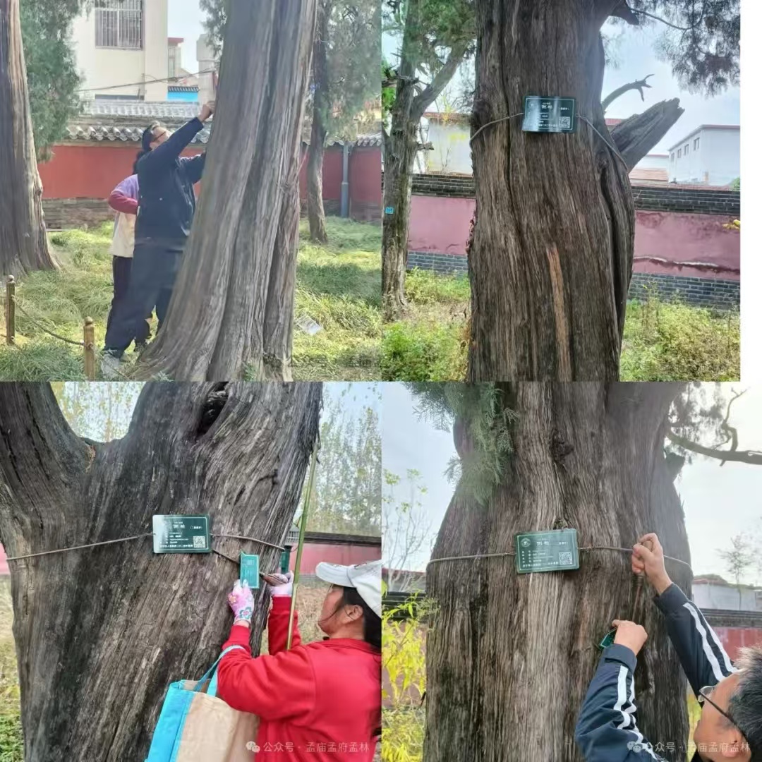 微信图片_20250108161624.jpg