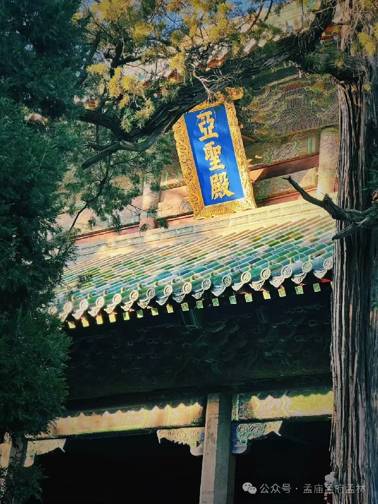 微信图片_20250206152851.jpg