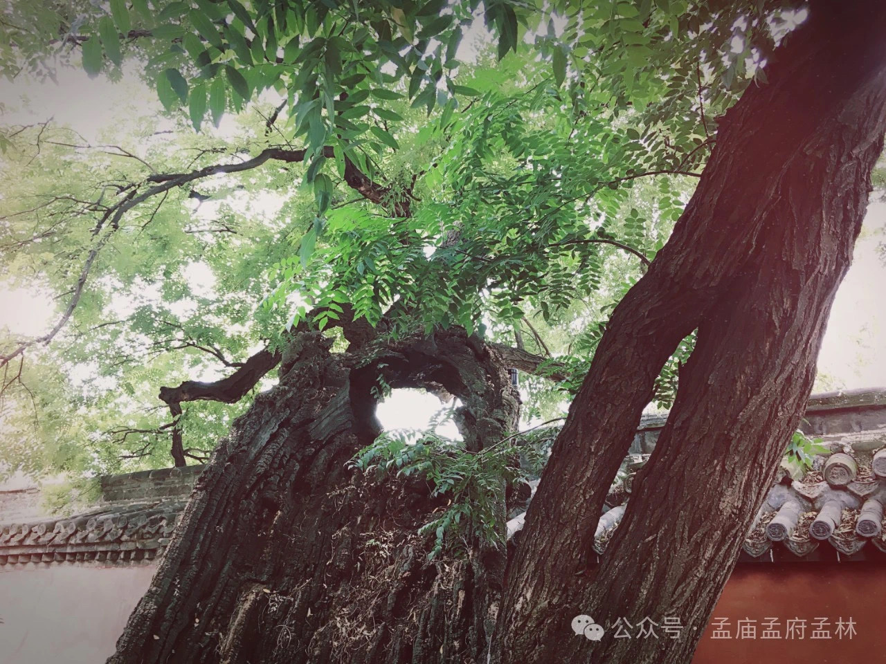 微信图片_20250206152859.jpg